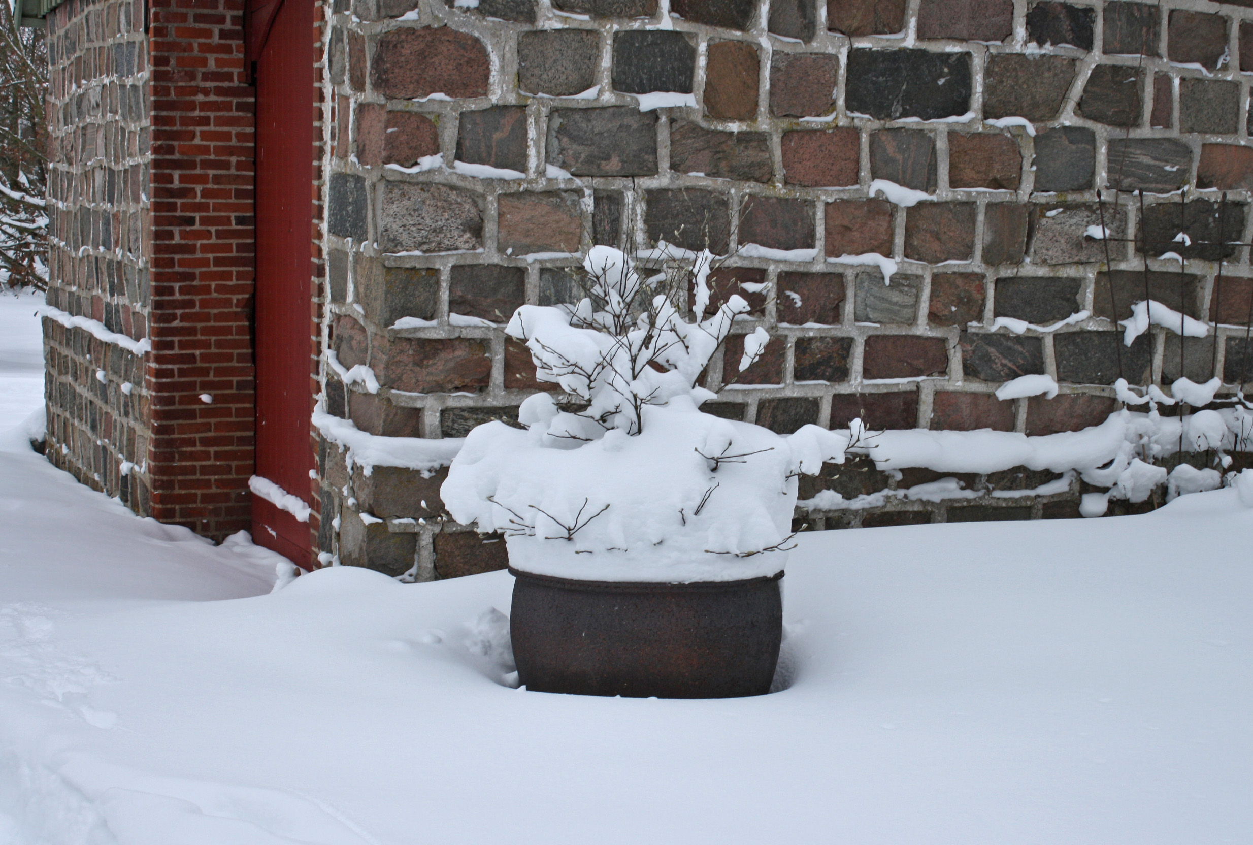 Plantevejledning