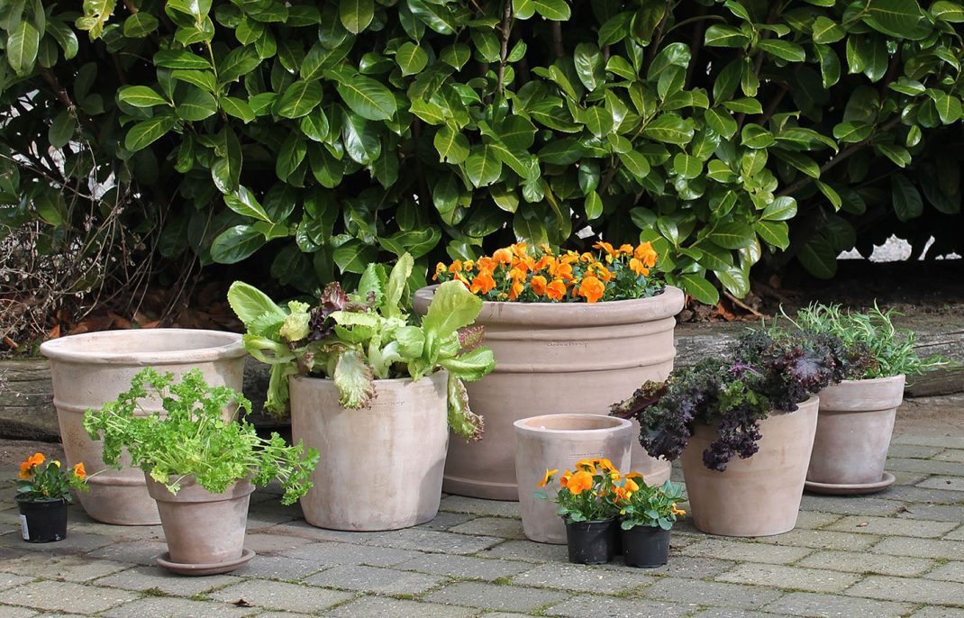 Beautiful Vegetable Gardens Made Of, Vegetable Garden Pots