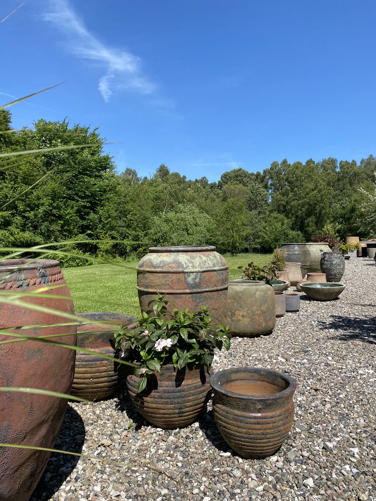 Vores showroom fyldt med krukker, i baggrunden ser man vores lagermand flytte en krukke på plads